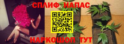 метадон Новокубанск