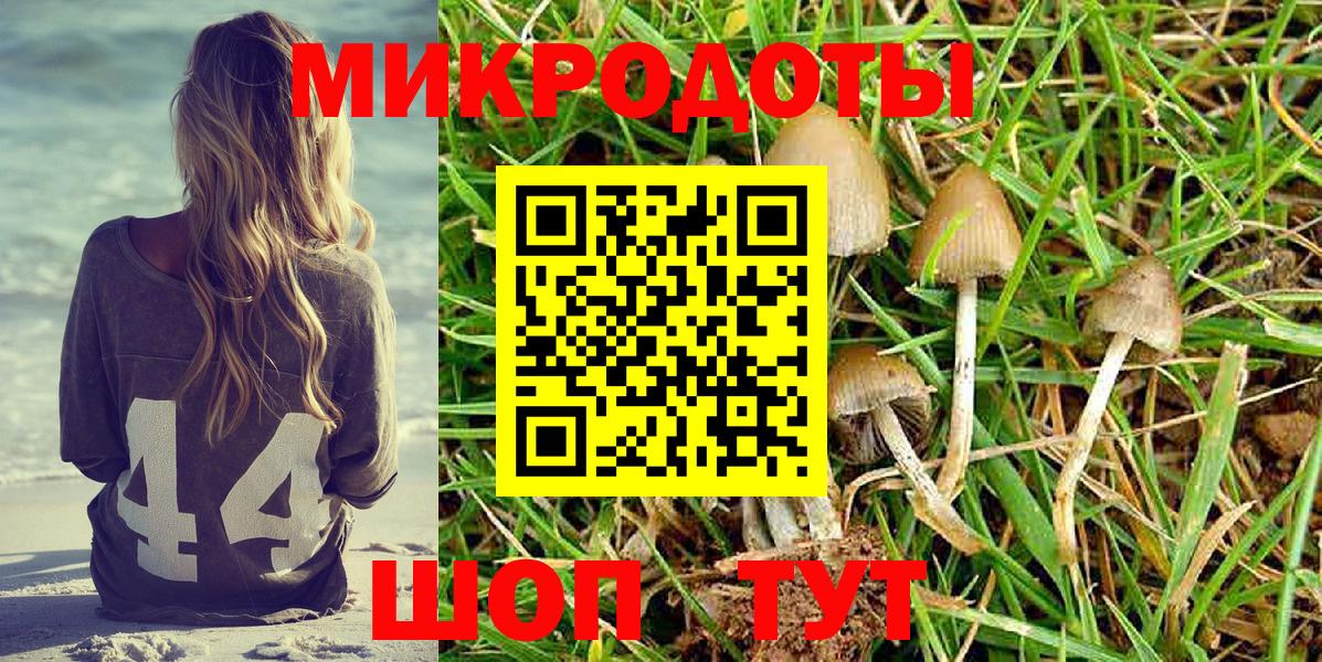 Галлюциногенные грибы GOLDEN TEACHER Сургут