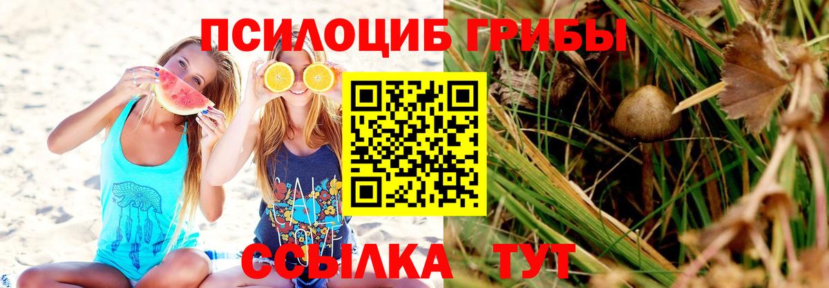 Сургут  Псилоцибиновые грибы Magic Shrooms  Вход с VPN 