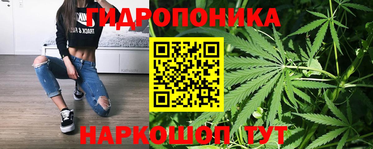 Шишки марихуана Ganja Сургут